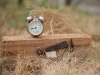 Alarm clock and a Piece of wood/ будильник и деревяшка
